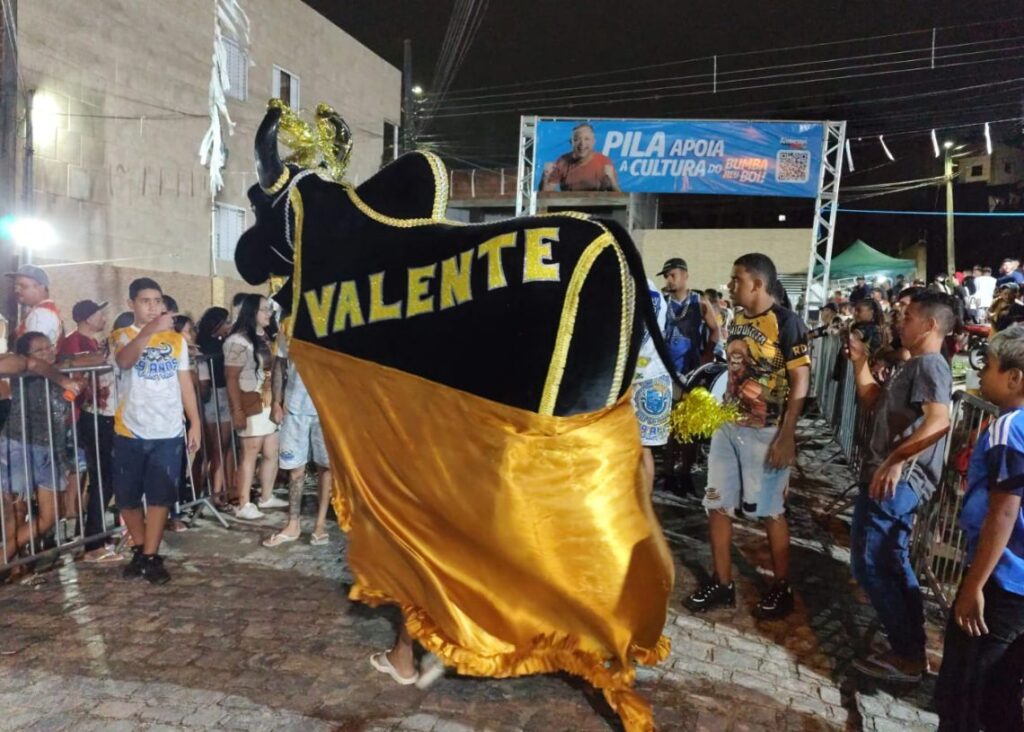 Bois de carnaval se reúnem no próximo domingo na Vila Cabral de Santa Rosa